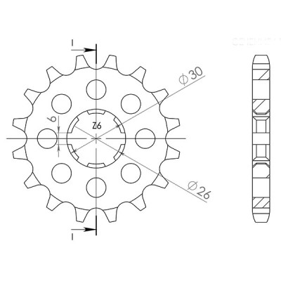 PIGNONE P530 - Z17 (DIS.21600)