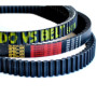 CUFF.AMM.ANT.5CENTO-6CENTO