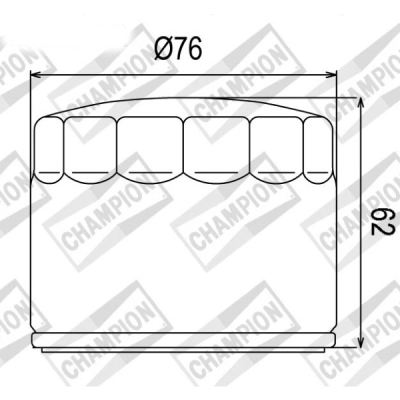 FILTRO OLIO CHAMPION COF060