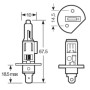 RING LAMPADA ALOGENA H1 12V 55W