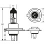 RING LAMPADA ALOGENA H4 12V 60/55W