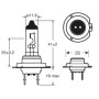 RING LAMPADA ALOGENA 24V 70W H7