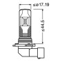 12V LEDRIVING FL - (H10) - 13W - PY20D - 2 PZ  - SCATOLA